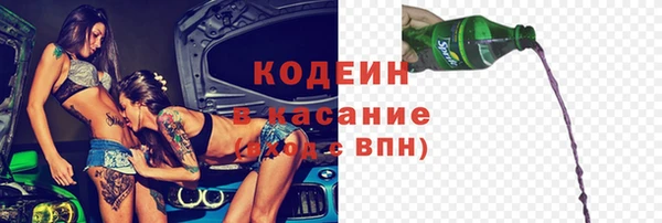 ECSTASY Богданович