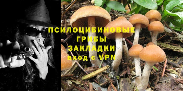 круглые Бронницы