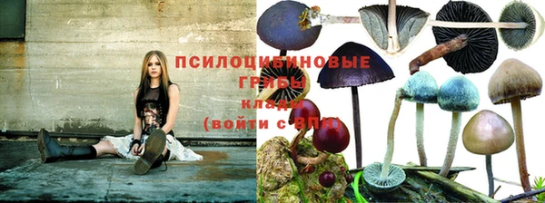 MESCALINE Бородино