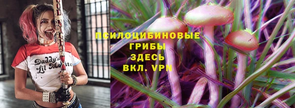 ECSTASY Богданович